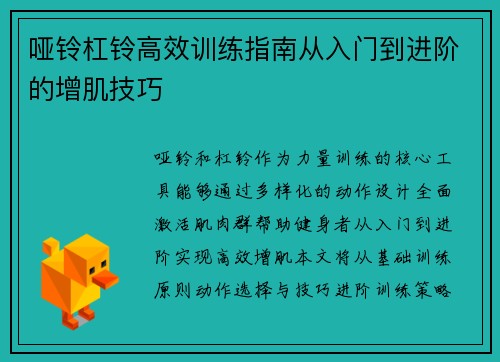 哑铃杠铃高效训练指南从入门到进阶的增肌技巧
